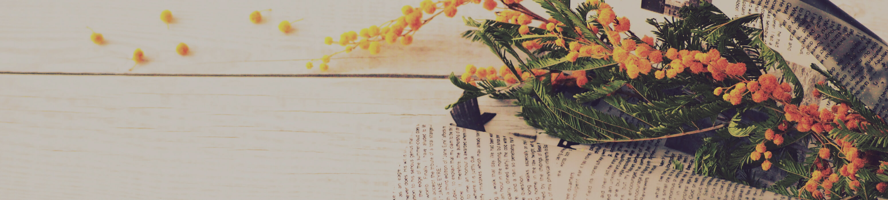 ドライフラワー専門店